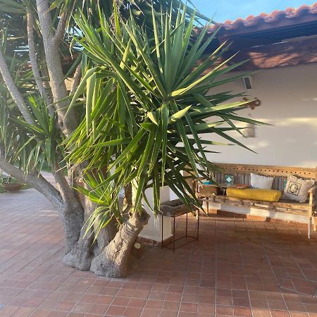 Villa Dimorra Sun And Relax Forio di Ischia Exterior foto